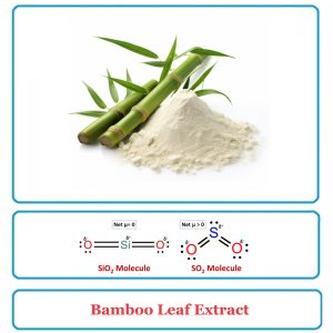 Bamboo Extract