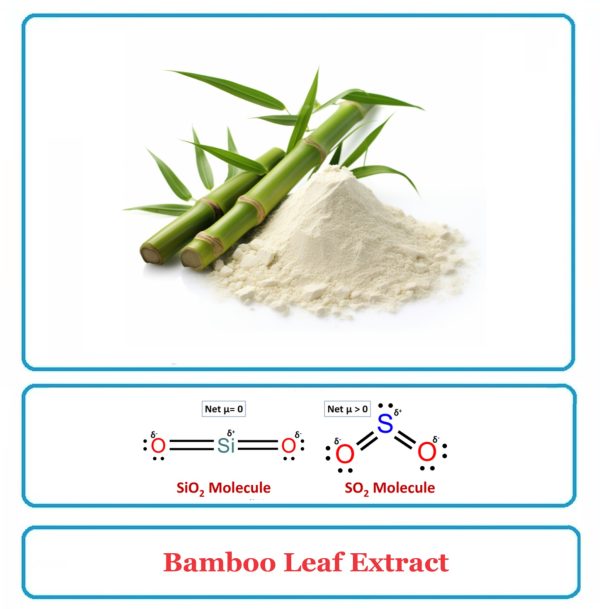 Bamboo Extract