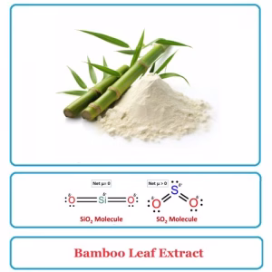 Bamboo Extract