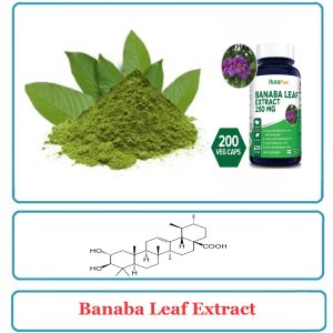 Banaba Leaf Extract