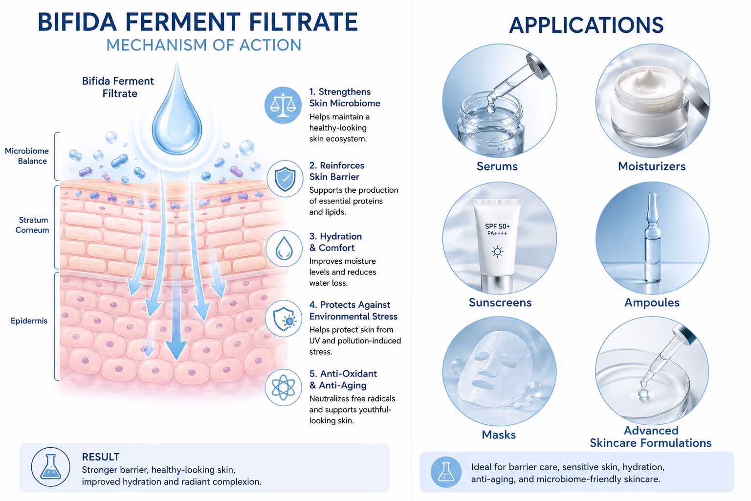 Bifida Ferment Filtrate