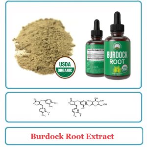 Burdock Root Extract