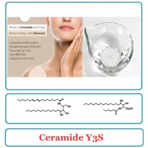 Ceramide Y3S