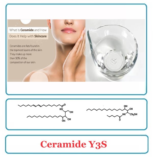 Ceramide Y3S