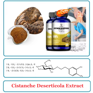 Cistanche Deserticola Extract