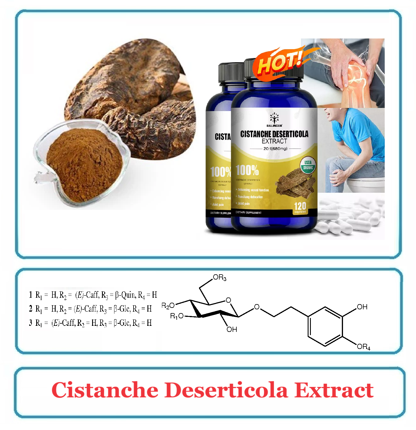 Cistanche Deserticola Extract