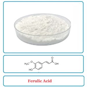 Ferulic Acid
