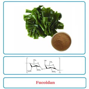 Fucoidan
