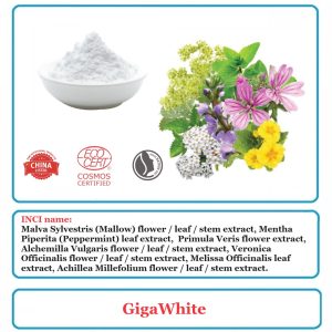 GigaWhite Powder
