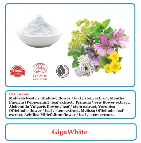 GigaWhite Powder
