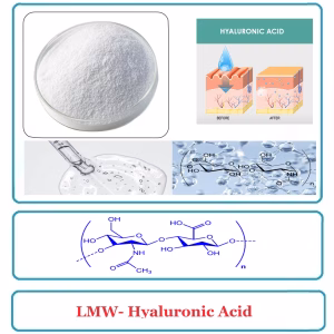 Low molecular weight hyaluronic acid (LMW-HA)