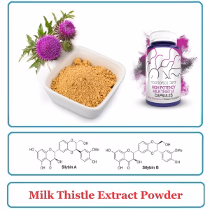Milk Thistle Extract Powder Silymarin