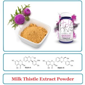 Milk Thistle Extract Powder Silymarin
