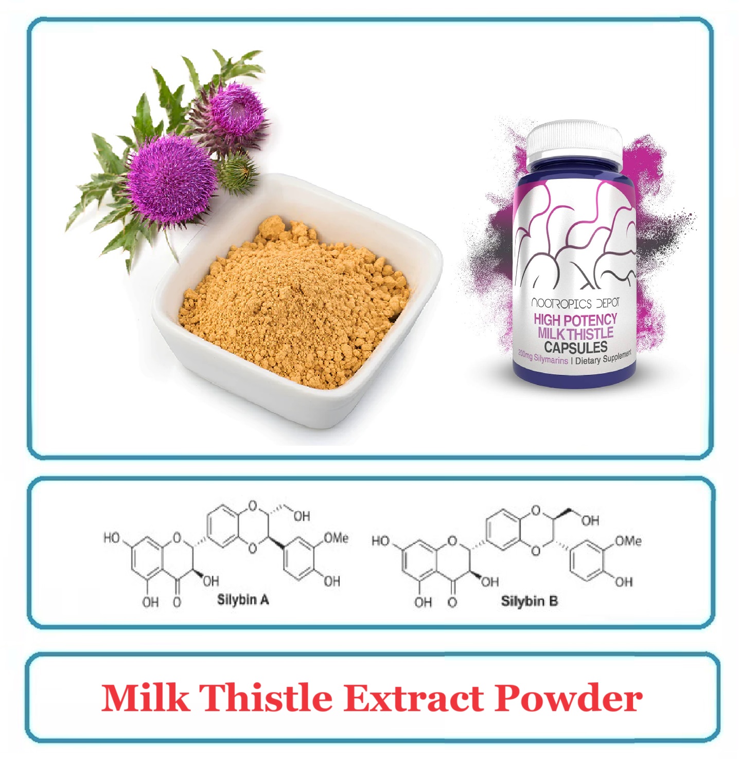 Milk Thistle Extract Powder Silymarin