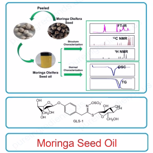 Moringa Seed Oil