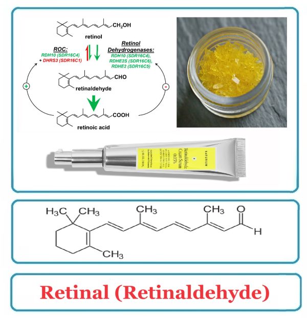Retinal