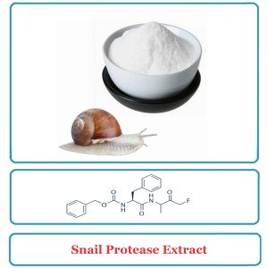 Snail Protease Extract