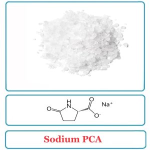 Sodium PCA