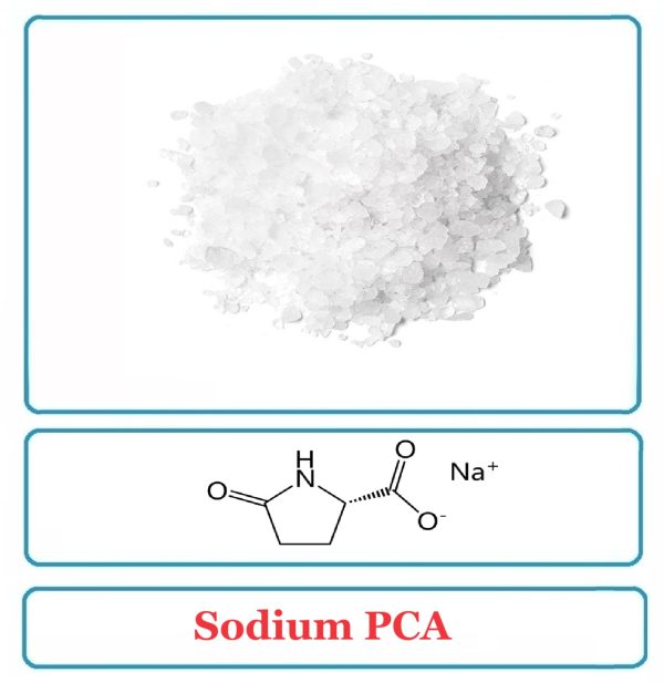 Sodium PCA