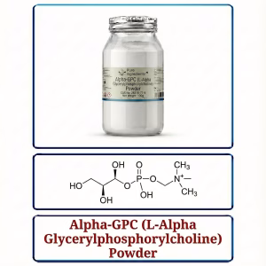 Alpha-GPC (L-Alpha Glycerylphosphorylcholine)
