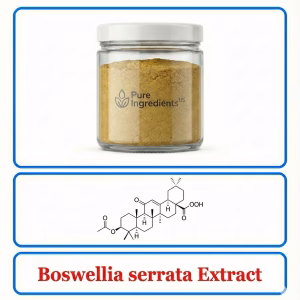Boswellia Serrata Extract – Standardized Resin Extract for Joint Comfort Support