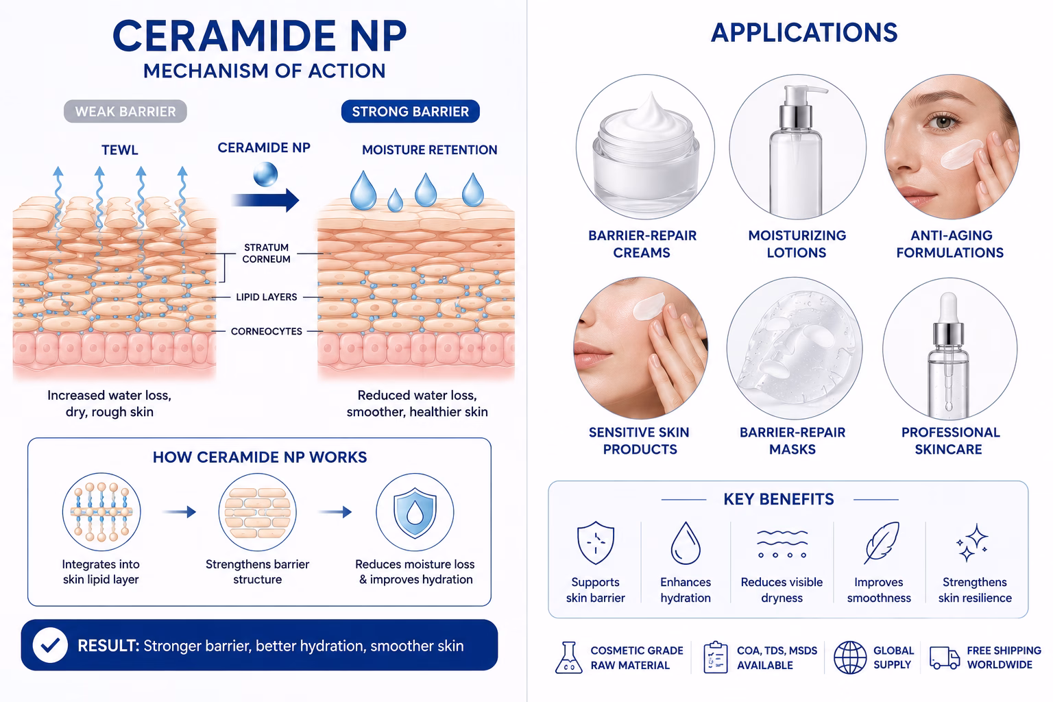 Ceramide NP Powder