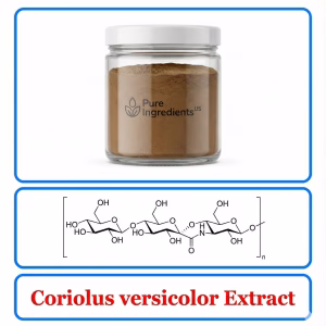 Coriolus Versicolor Extract – Standardized Mushroom Complex for Immune Balance Support
