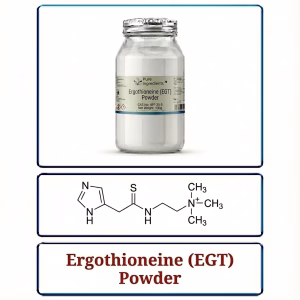 Ergothioneine (EGT) Powder – High Purity Antioxidant Defense Ingredient