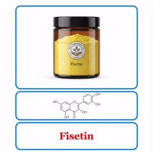 Fisetin – High Purity Flavonoid for Antioxidant & Healthy Aging Support