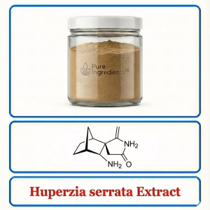 Huperzia Serrata Extract – Standardized Botanical for Cognitive Focus Support
