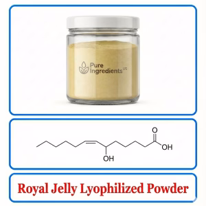 Royal Jelly (Lyophilized Powder) – Premium Nutrient-Rich Vitality Support Ingredient