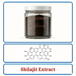 Shilajit Extract – Purified Mineral Resin for Energy & Vitality Support