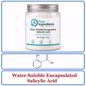 Encapsulated Salicylic Acid Powder – BHA Exfoliant for Acne-Prone & Oily Skin